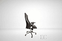 Cobra High back Chair