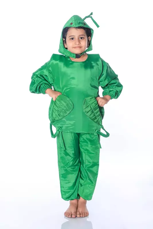 Caterpillar Fancy Dress Costume For Kids
