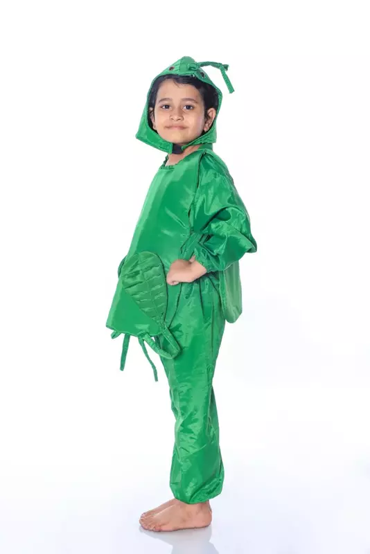 Caterpillar Fancy Dress Costume For Kids
