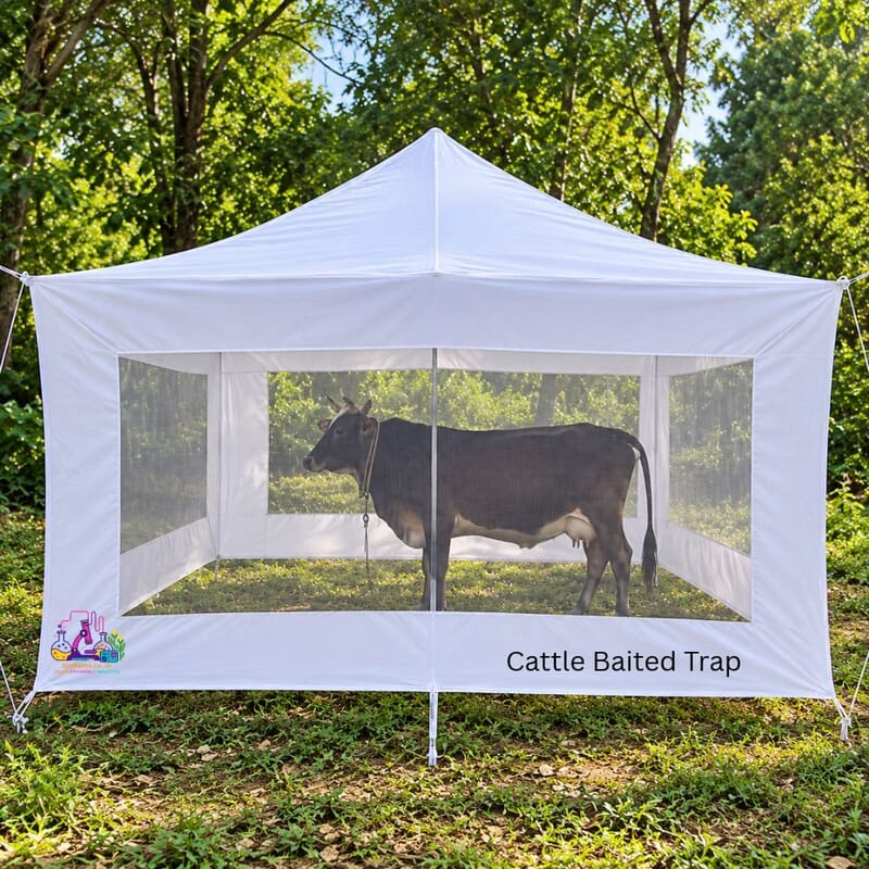 Cattle Baited Trap