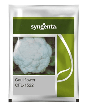 CFL 1522 CAULIFLOWER, 2000 SEEDS (Box of 10)