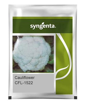 CFL 1522 CAULIFLOWER, 2000 SEEDS (Box of 10)
