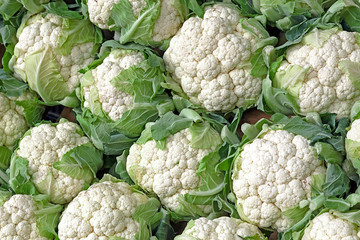 Farm-fresh cauliflower