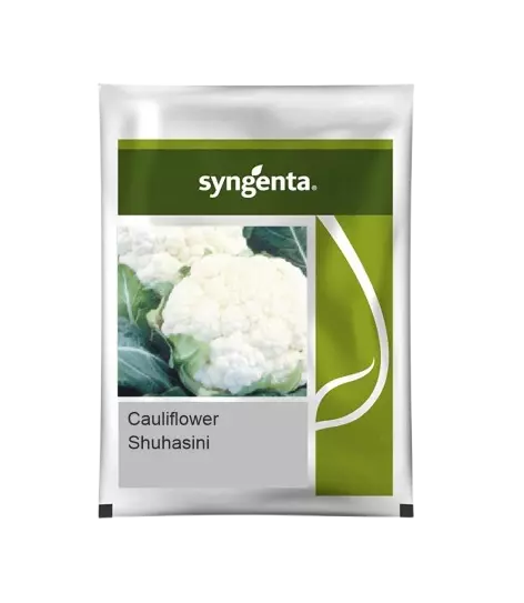 Syngenta Califlower Suhasini 2000nos