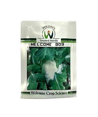 Cauliflower Rustom 909 by Welcome Seeds