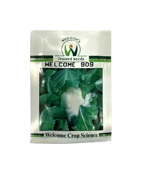 Cauliflower Rustom 909 by Welcome Seeds