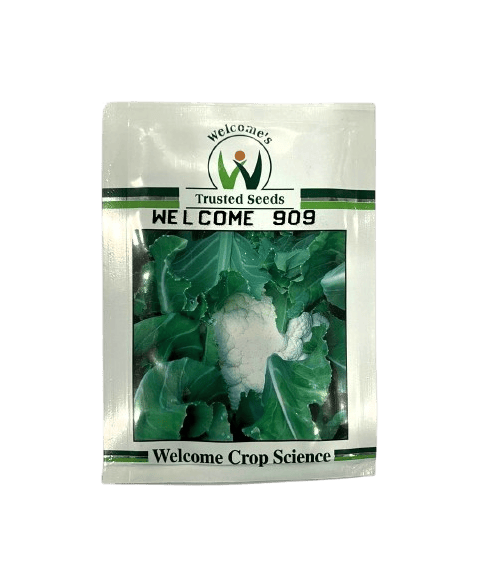 Cauliflower Rustom 909 by Welcome Seeds