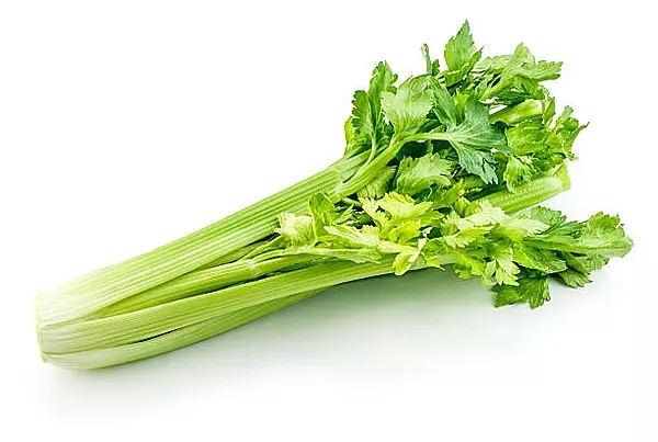 Celery 100 gms - Delia