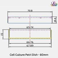 Cell Culture Petri Dish