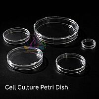 Cell Culture Petri Dish