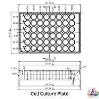 Cell Culture Plate