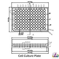 Cell Culture Plate