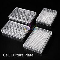Cell Culture Plate