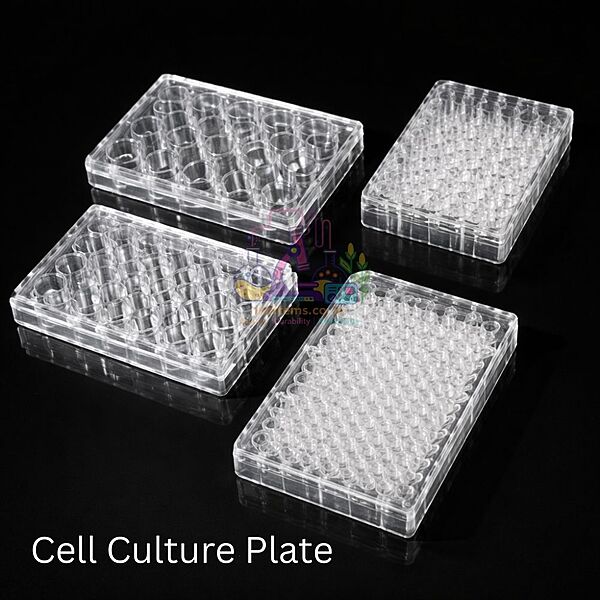 Cell Culture Plate