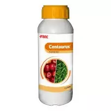 Centarus
