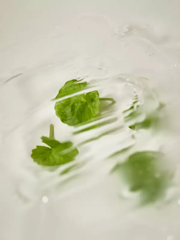 IUNIK - Centella Calming Daily Sunscreen