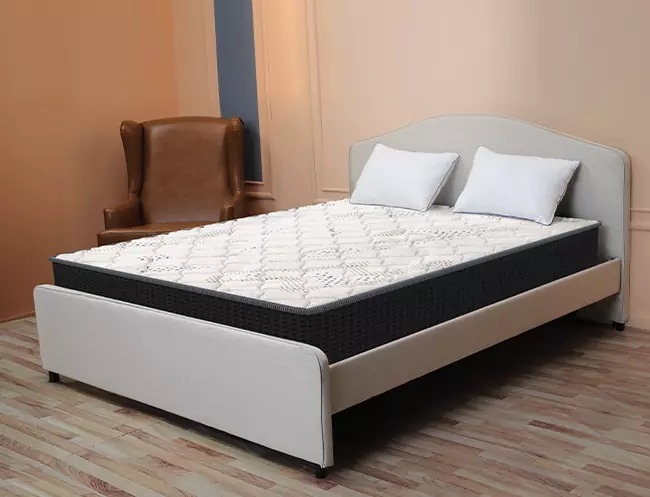 Centuary SPINE SUPPORT Coir Mattress