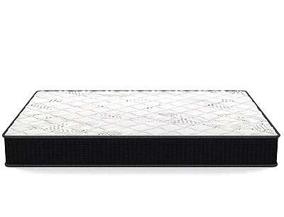 Centuary SPINESUPPORT|78X36X6|||Coir Mattress