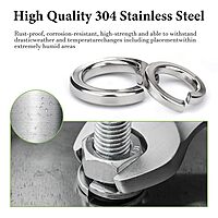 M8 Spring Lock Washer SS- 1 qty