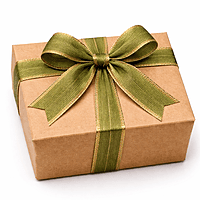 Luxe Gold Edge Jute Ribbon
