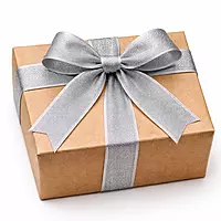 Shimmer Satin Ribbon