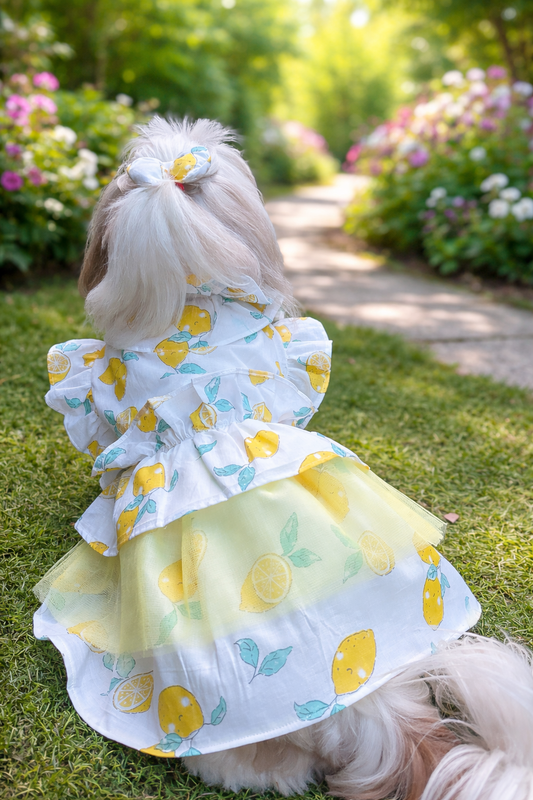 Lemon Drop Princess Dress