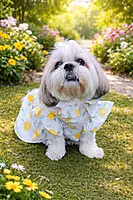 Lemon Drop Princess Dress