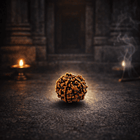 5 Mukhi Rudraksha Bead – Natural Sacred Rudraksha for Spiritual & Daily Wear