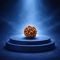 5 Mukhi Rudraksha Bead – Natural Sacred Rudraksha for Spiritual & Daily Wear