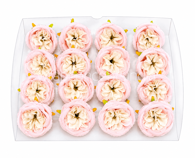 Pastel Pink & Cream Ranunculus Flowers