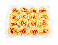 Lemon & Peach Rose Floral Heads