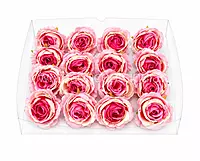 Pink & Cream Dual Rose Floral Heads