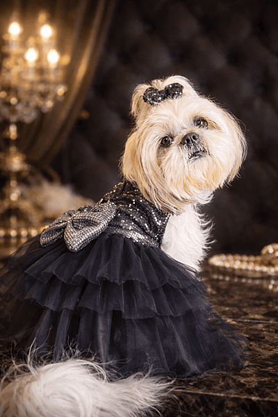 Starlight Sequin Tutu Dress