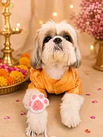 Crochet Paw Rakhi