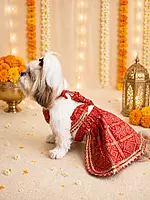 Bandhani Red Festive Lehenga Choli for Pets