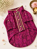 Gulabi Noor Festive Kurta