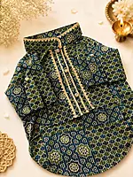 Bagh-e-Bahar Festive Kurta