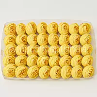 Small Peony-Bubble Gum Pink