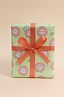 Cute Bunny Gift Wrap Set (Set of 2 Sheets)