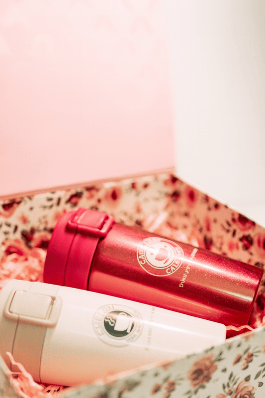 Luxury Double-Wall Vacuum Travel Mugs Gift Set – Red & Ivory (Set of 2)