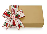 Merry Christmas White Burlap Ribbon