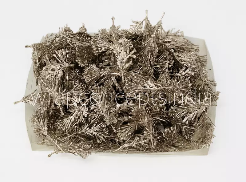 Champagne Willow Filler Leaves