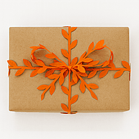 Leaf String - Orange