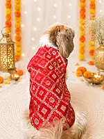 Gulnaar Festive Kurta