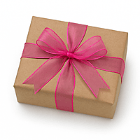 Plain Organza Ribbon