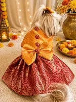 Yellow & Red Maharani Brocade Dress