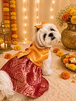 Yellow & Red Maharani Brocade Dress