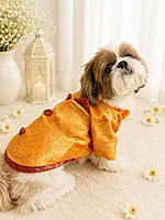 Royal Yellow Brocade Festive Kurta for Dogs
