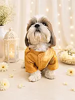 Royal Yellow Brocade Festive Kurta for Dogs