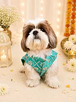 Turquoise Mirror Festive Kurta for Dogs
